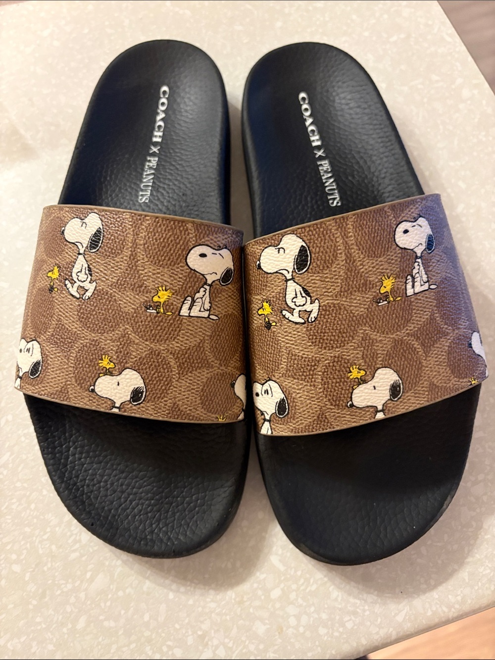 Coach x Peanuts Brown Snoopy Slide Sandals 8D